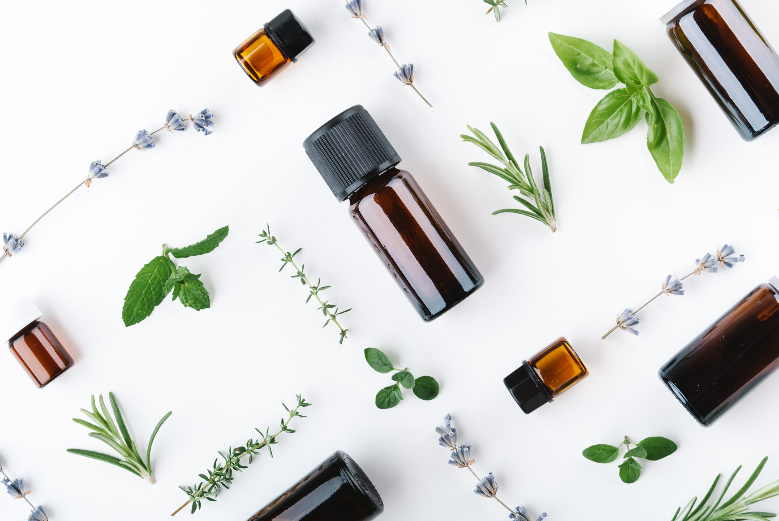 AdobeStock_217792105-scaled-1