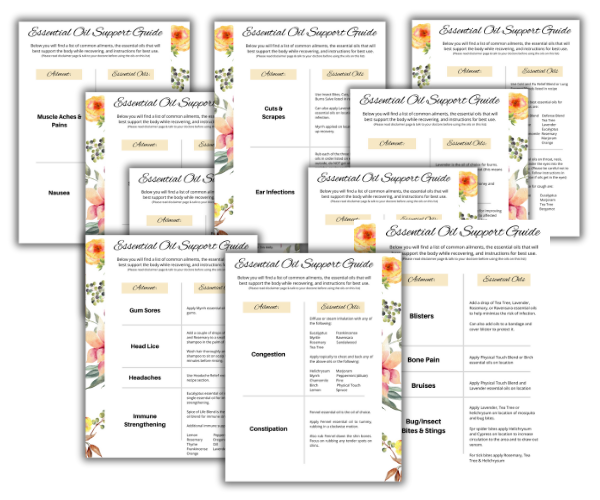 EO Medicince Cabinet Binder Collage Pic 2
